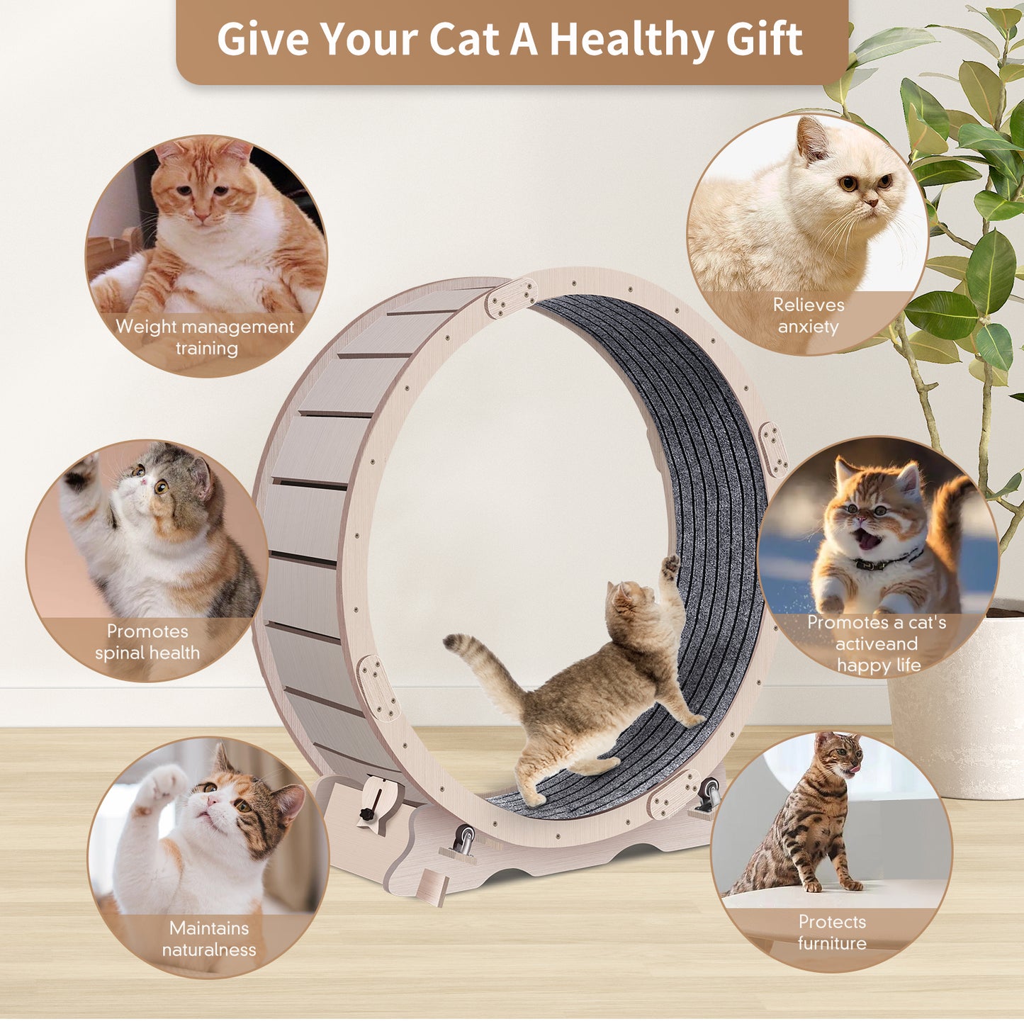 Cat Exercise Wheel for Indoor Cats, Cat Running Wheel with Carpeted Runway, 41" Natural Wood Color